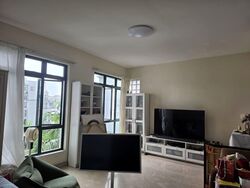 Parc Palais (D21), Condominium #539845911